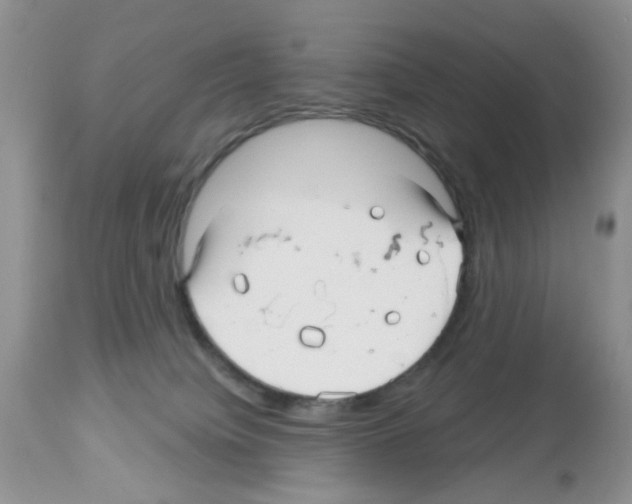 X0000112480084200909281120