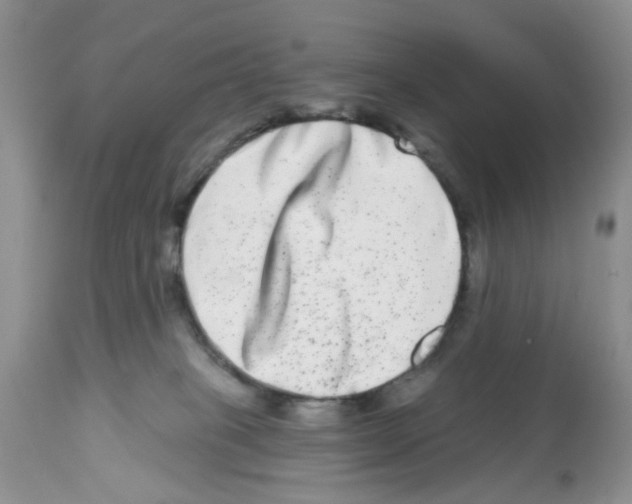 X0000112480085200909281120