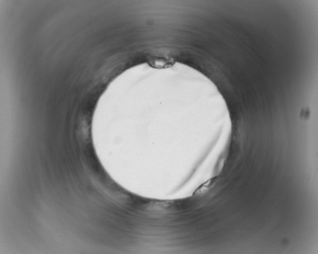 X0000112480086200909281120