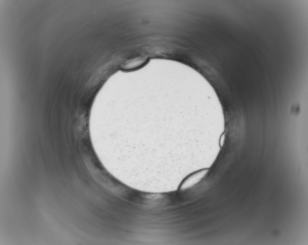 X0000112480087200909281120