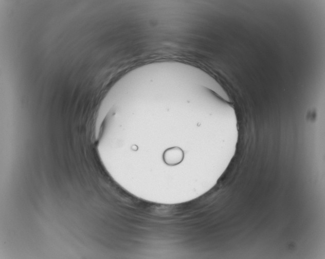 X0000112480088200909281120