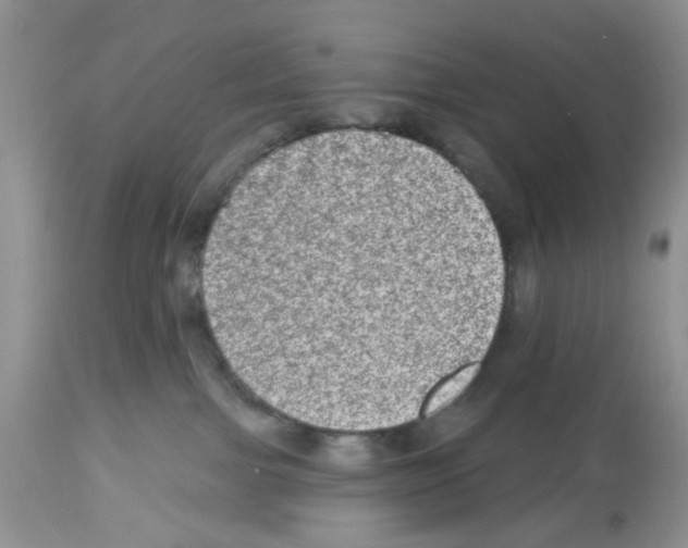 X0000112480091200909281120