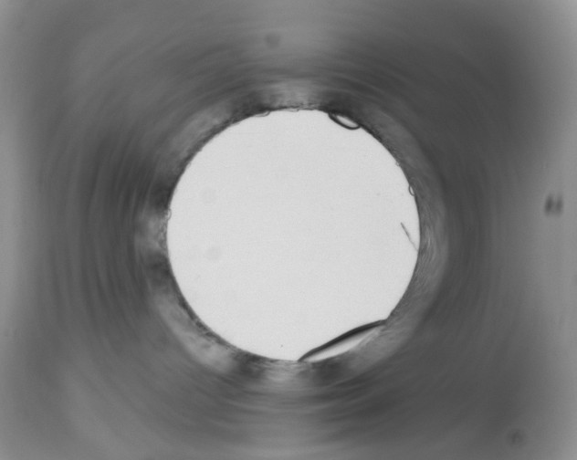 X0000112480096200909281120