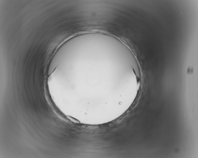 X0000112480097200909281119