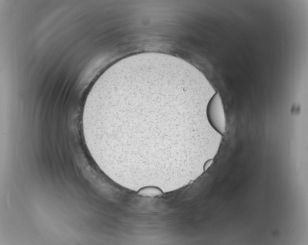 X0000112480098200909281119