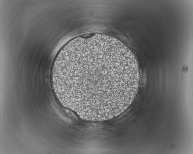 X0000112480099200909281119