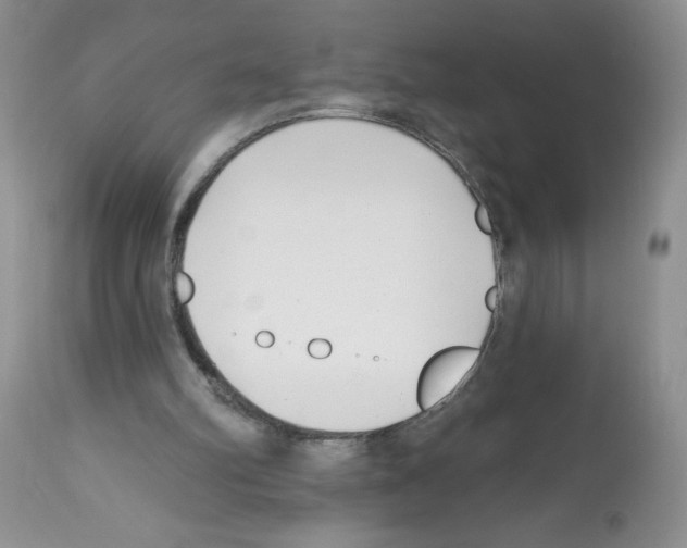 X0000112480102200909281119