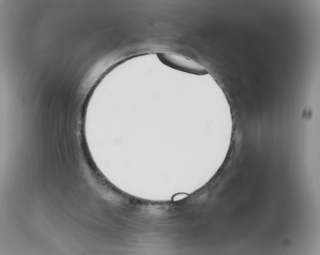 X0000112480103200909281119