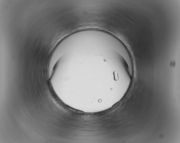 X0000112480105200909281119