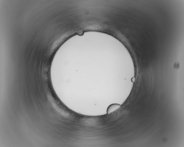 X0000112480106200909281119