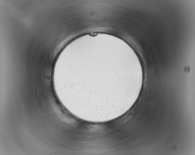 X0000112480107200909281119