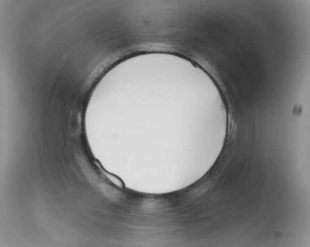 X0000112480109200909281119