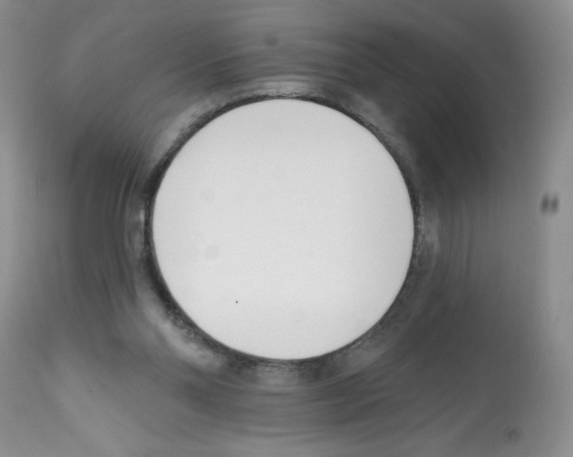 X0000112480110200909281119