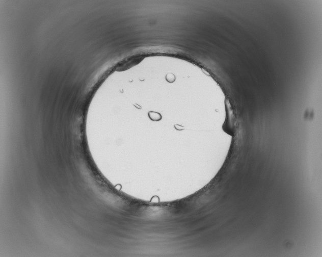 X0000112480111200909281119