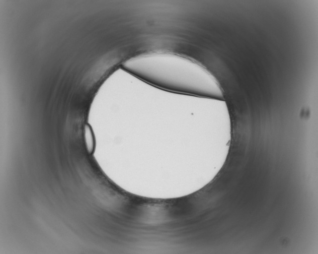 X0000112480120200909281119