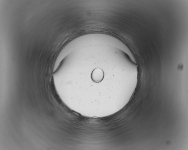 X0000112480121200909281119