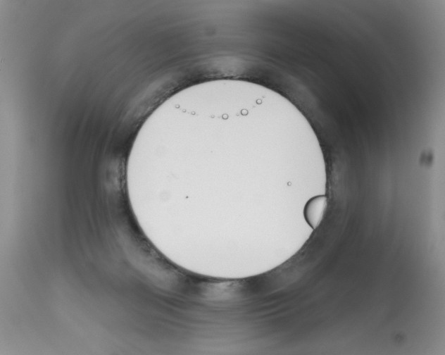 X0000112480122200909281119