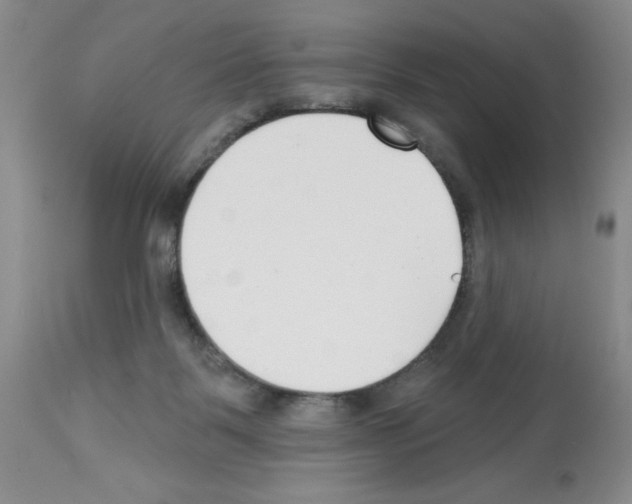 X0000112480123200909281119