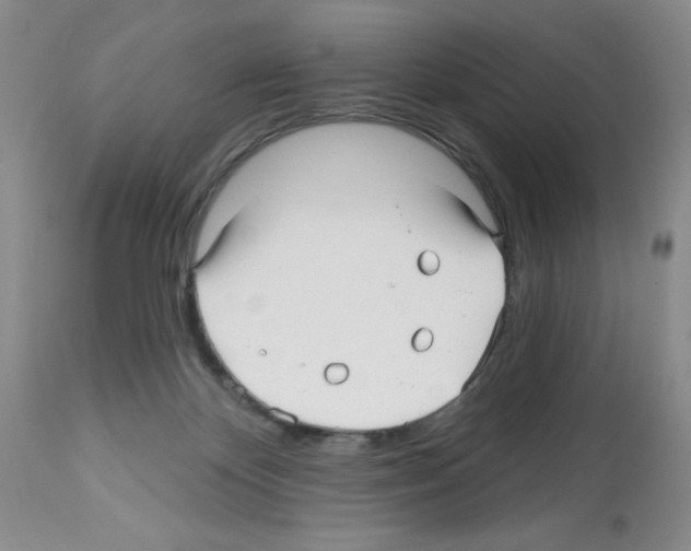 X0000112480124200909281119