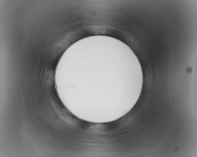 X0000112480125200909281119