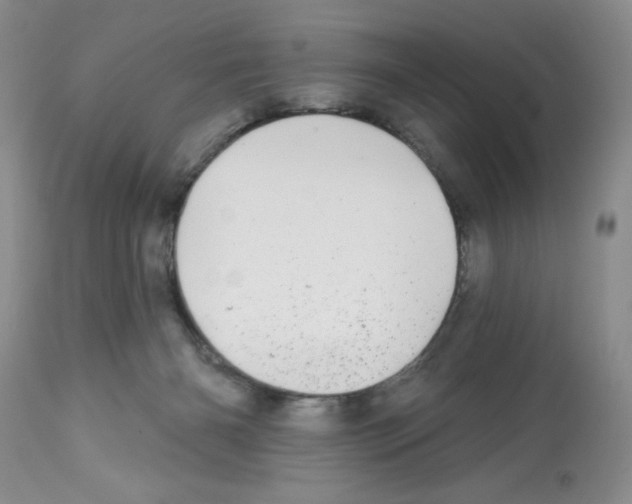 X0000112480126200909281119