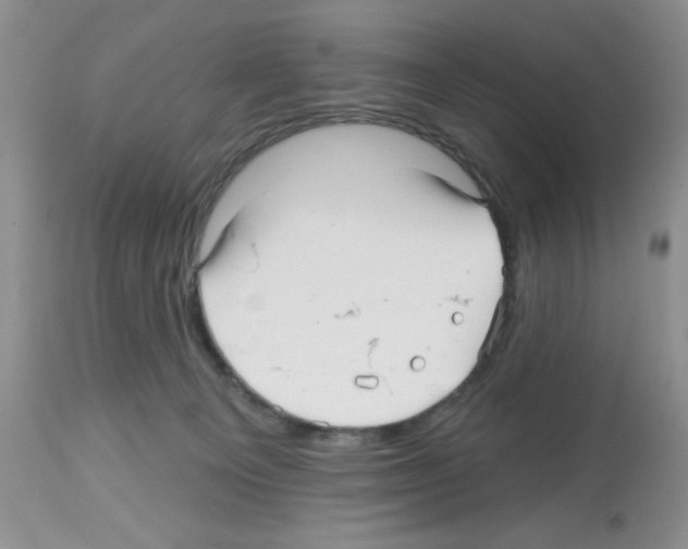 X0000112480129200909281119