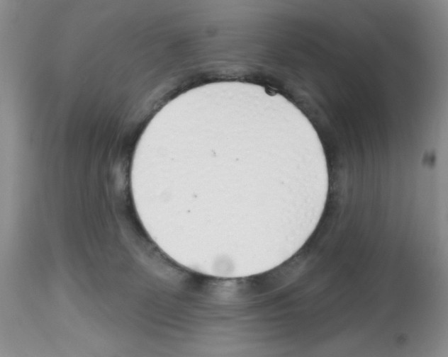 X0000112480131200909281119