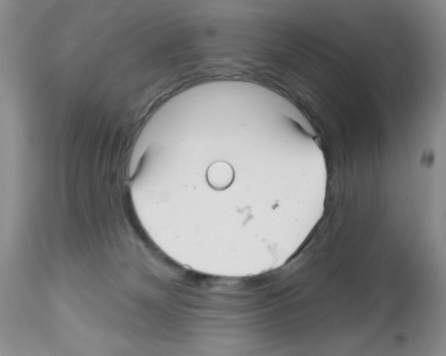 X0000112480132200909281119