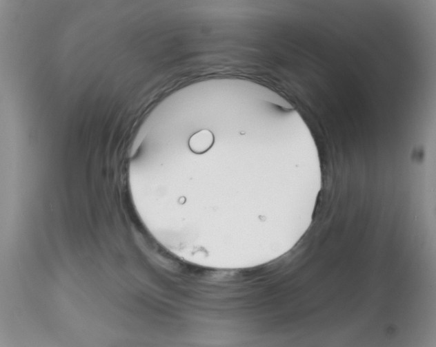 X0000112480136200909281119