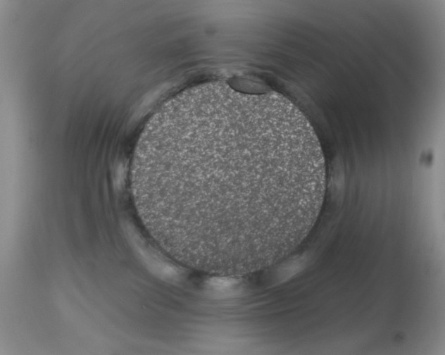 X0000112480139200909281119