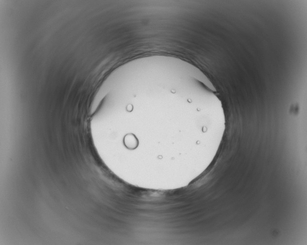 X0000112480140200909281118