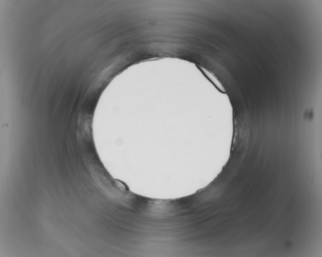 X0000112480141200909281118