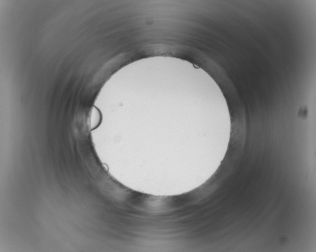 X0000112480142200909281118