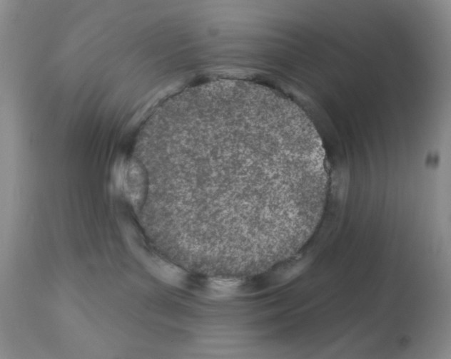 X0000112480143200909281118