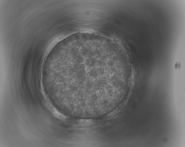 X0000112480145200909281118