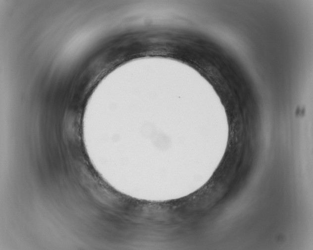 X0000112480146200909281118