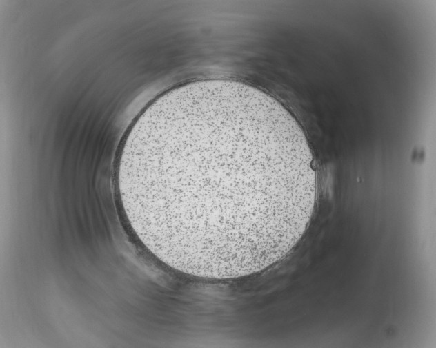 X0000112480147200909281118