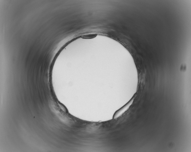 X0000112480148200909281118