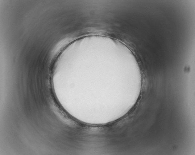 X0000112480149200909281118