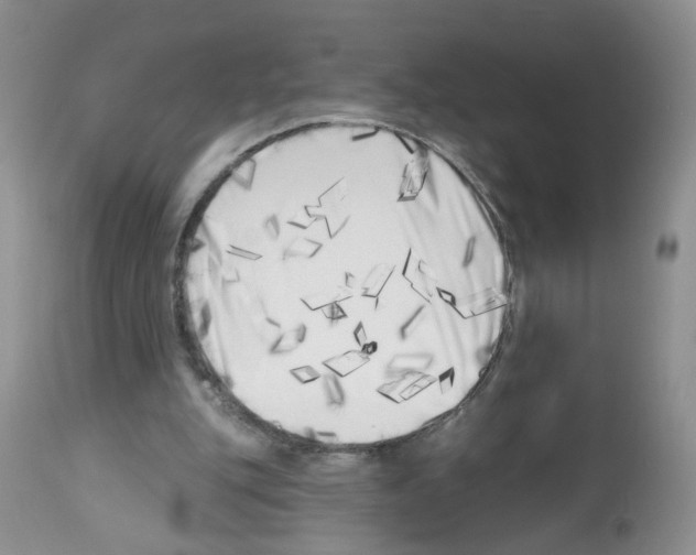 X0000112480151200909281118