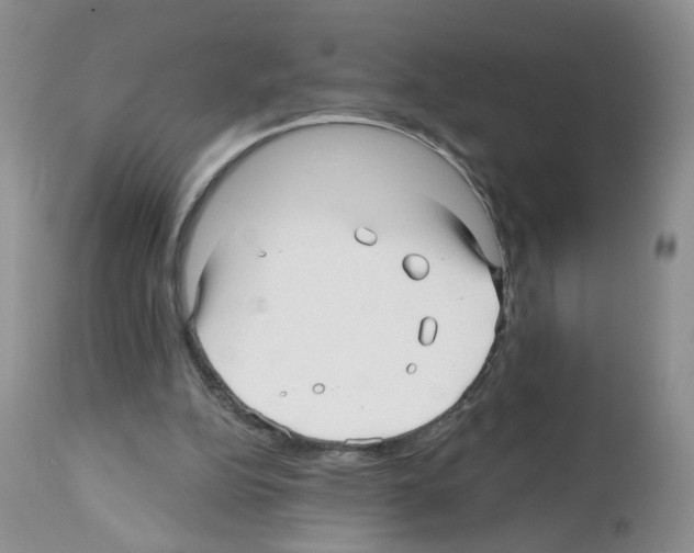 X0000112480152200909281118