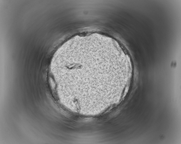 X0000112480153200909281118