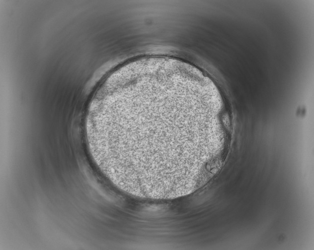 X0000112480155200909281118