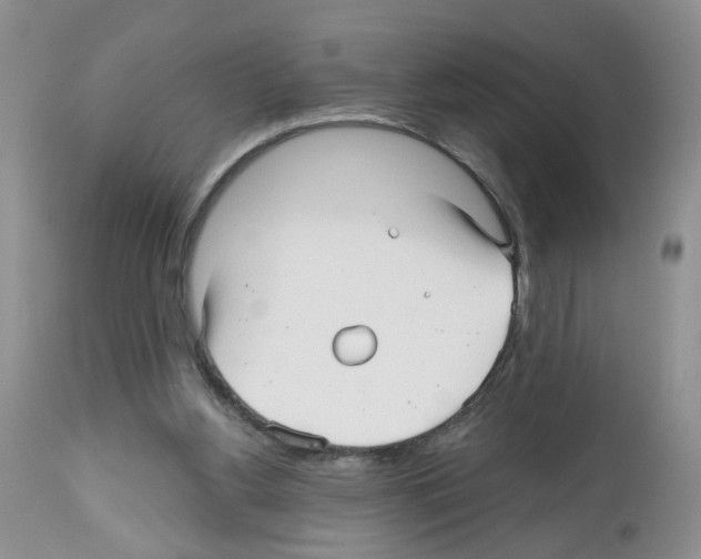 X0000112480156200909281118