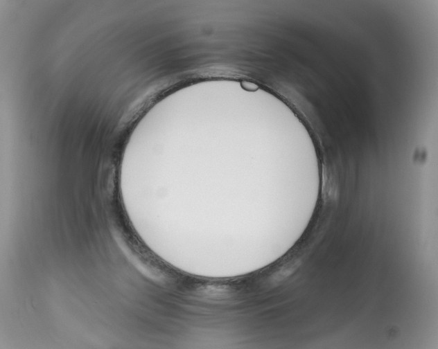 X0000112480157200909281118