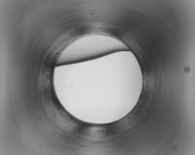 X0000112480158200909281118