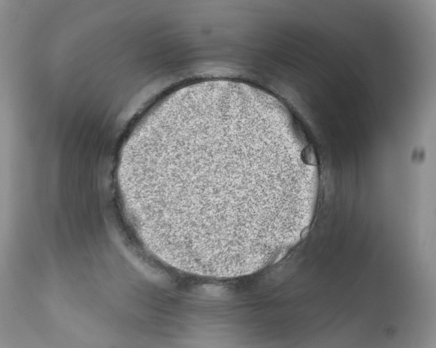 X0000112480159200909281118