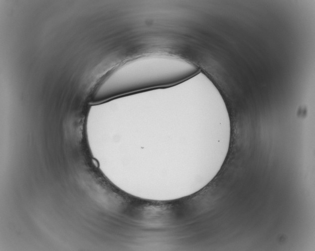 X0000112480160200909281118