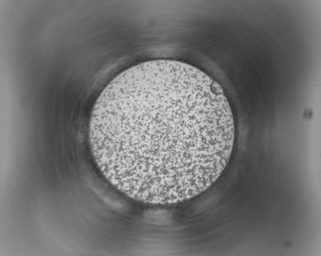 X0000112480161200909281118