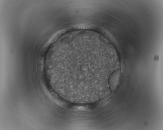 X0000112480163200909281118